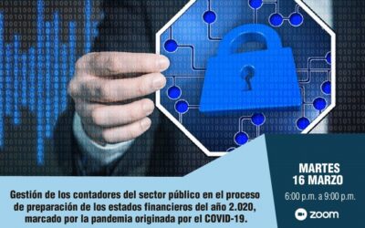 Cátedra Contabilidad y Aseguramiento Gubernamental