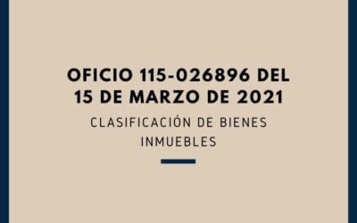 CONCEPTO SUPERSOCIEDADES 115-026896 (Marzo 15 de 2021) Clasificación de Bienes Inmuebles