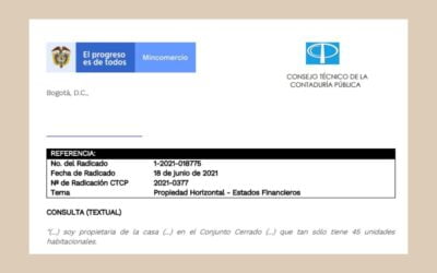 CTCP – Concepto 0377-2021: Responsabilidad EEFF – Propiedades Horizontales 18 jun 2021