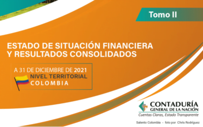 CGN – Estado de Situación Financiera y Resultados Consolidados del Nivel Territorial:   Tomo 2