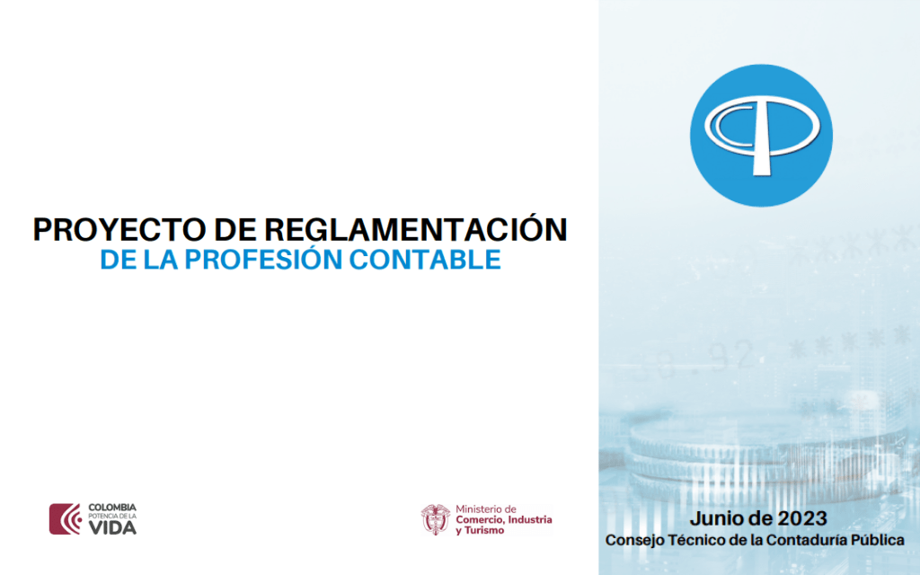 Ctcp Proyecto De Reglamentación De La Profesión Contable Luis Alonso