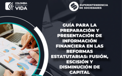DIAN. Guía para la preparación y presentación de Información Financiera en las Reformas Estatutarias: Fusión, Escisión y Disminución de Capital