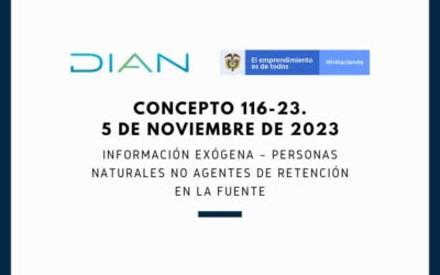 DIAN. Concepto 116-23. Información Exógena – Personas Naturales no agentes de Retención en la Fuente