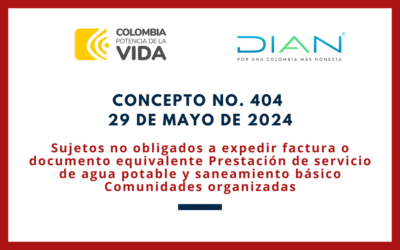 DIAN. Concepto 0404-24. Obligaciones formales de las ESAL