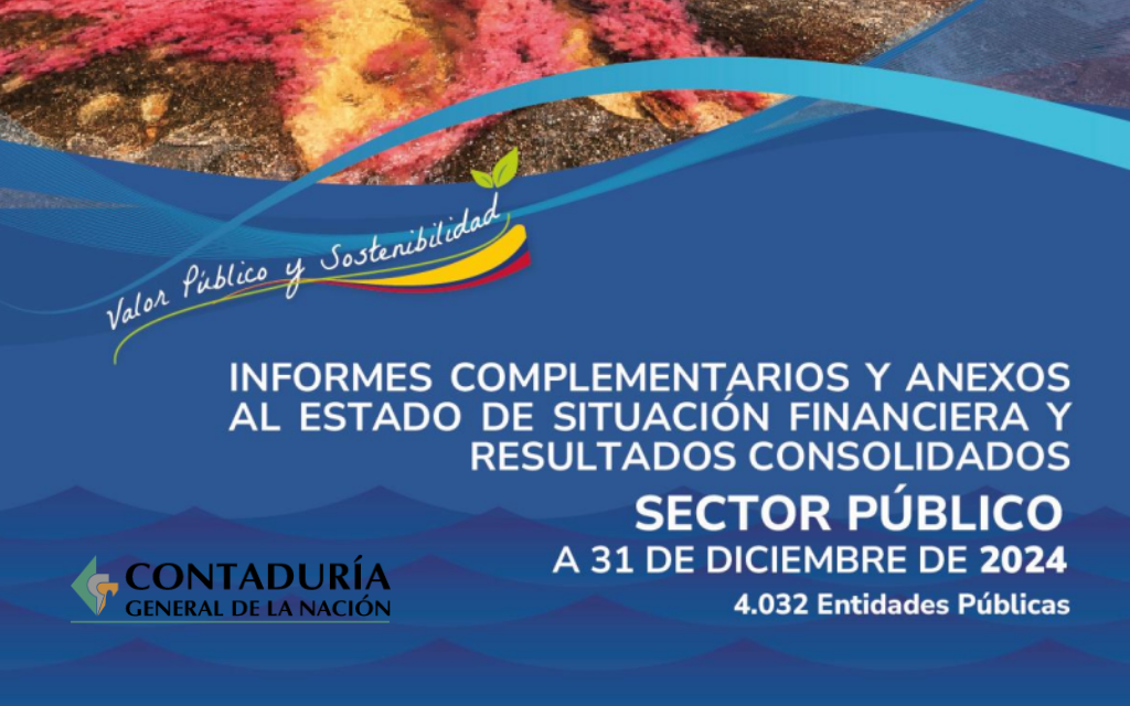 CONTADURIA GENERAL DE LA NACIÓN. Informes Complementarios y Anexos al Estado de Situación Financiera y Resultados Consolidados