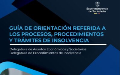 Guía de orientación referida a los procesos, procedimientos y tramites de insolvencia