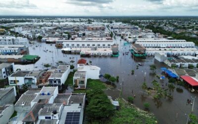 La emergencia no es licencia para violar la Constitución
