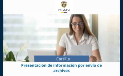 DIAN. Cartilla. Presentación de información por envío de archivos