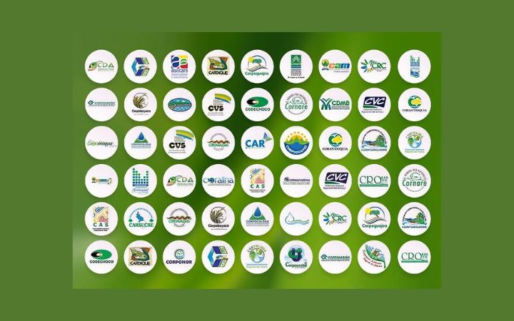 La revisoría fiscal en las CAR una figura que no cabe revisoría fiscal CAR Colombia